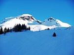 Ciaspolata ai Campelli e ai monti Campione e Campioncino da Schilpario in Val di Scalve (10 genn. 09) - FOTOGALLERY